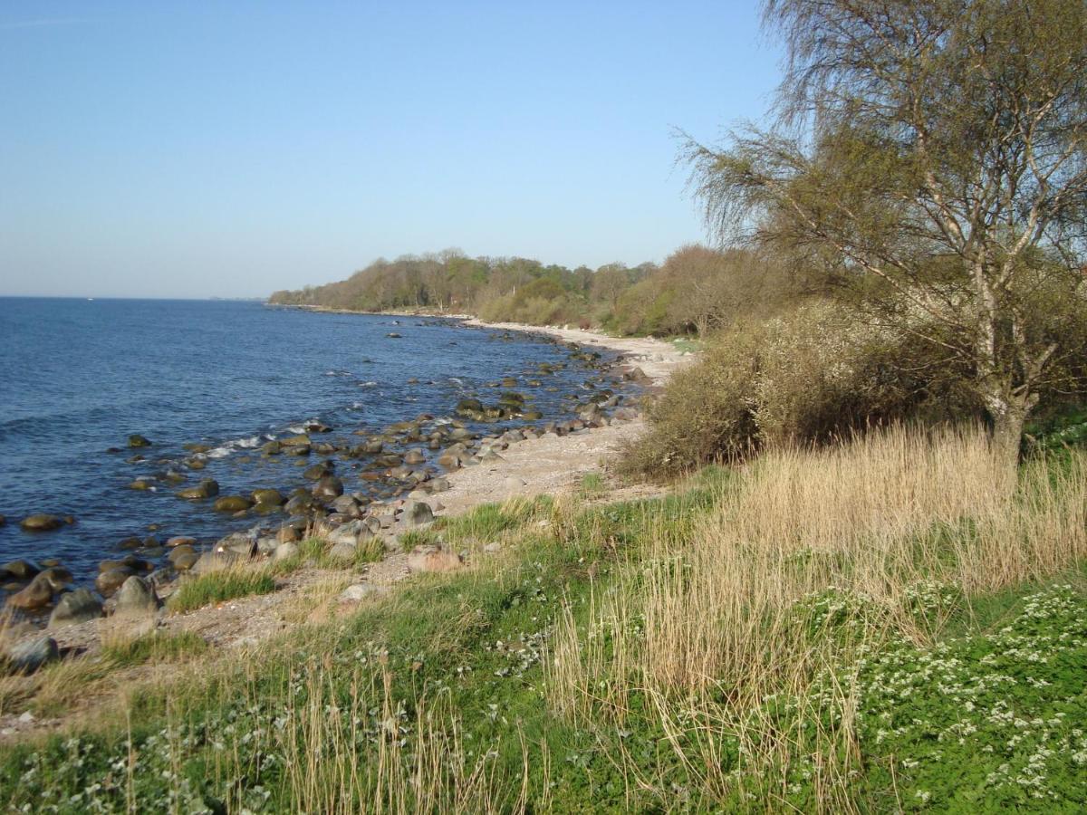 Guest Cottege Villa Ystad község Kültér fotó